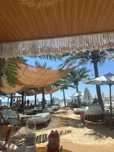 Luxury Beach Dolphin