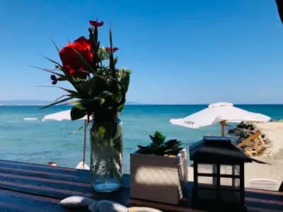Beach Bar - End of the world