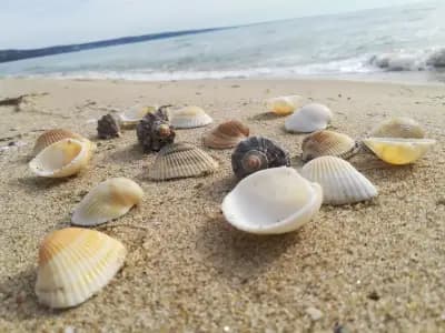 Therma Beach