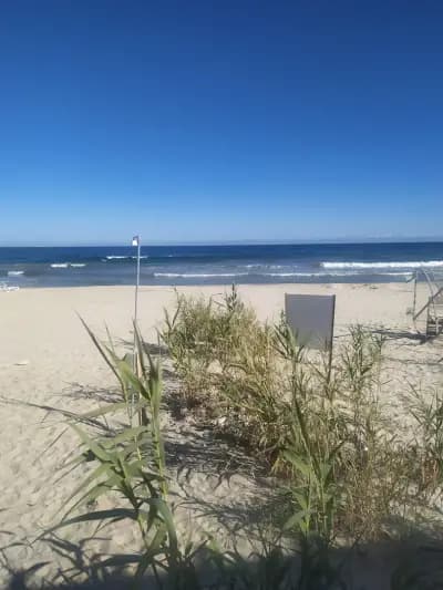 Bistro Crazy Beach