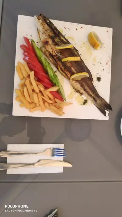 Restaurant Garden "Shipka"