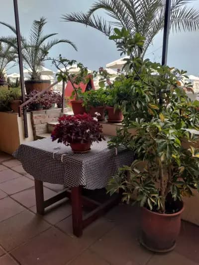Briz Restaurant