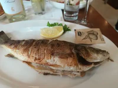 Бяла роза