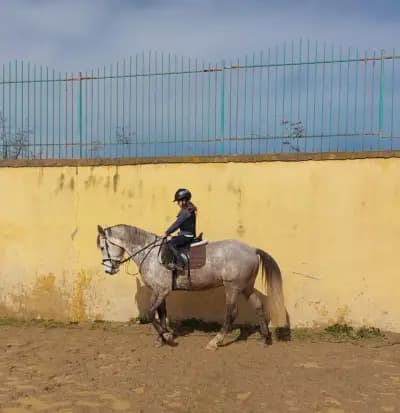 Horse riding Sunny Beach/Конна база Слънчев бряг