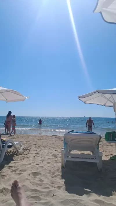 Каравана Чайка