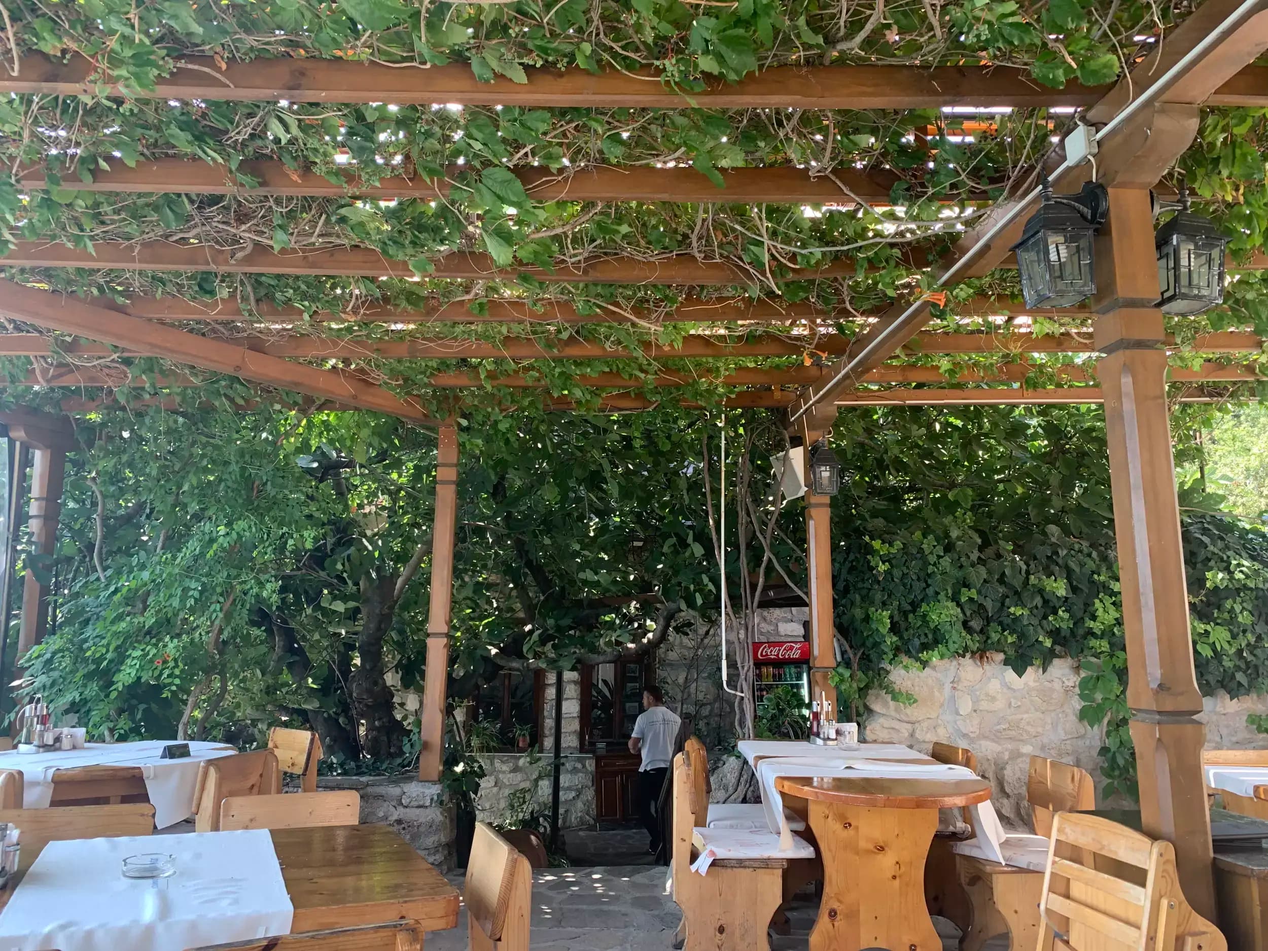 Плакамото