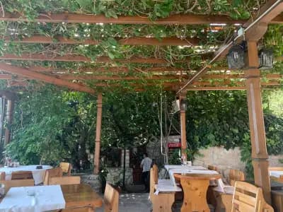 Плакамото