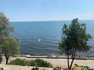 Плакамото