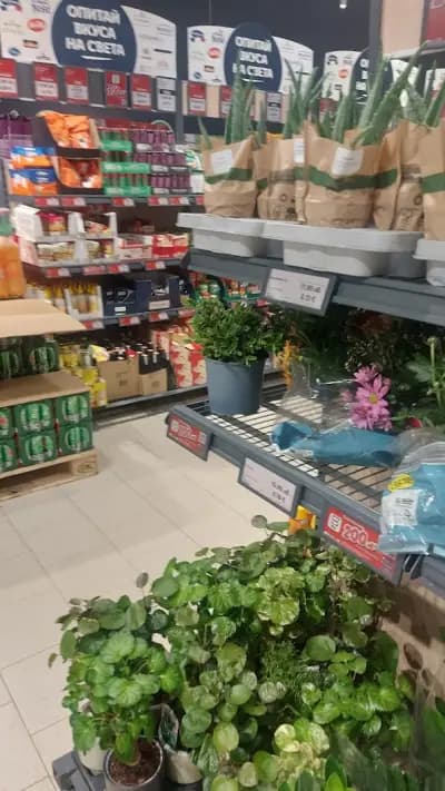Lidl