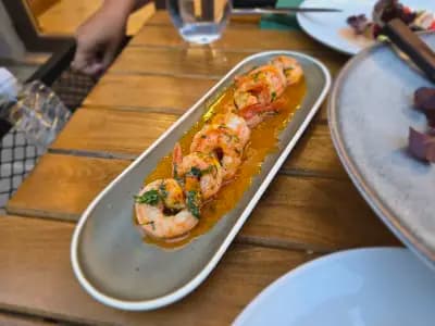 Albatros Local Kitchen and Craft Beer