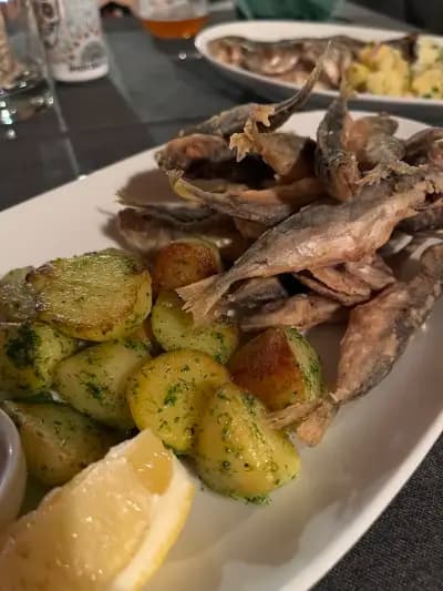 Albatros Local Kitchen and Craft Beer