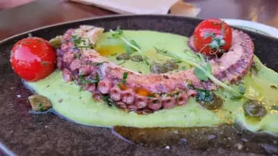 Albatros Local Kitchen and Craft Beer