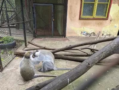 Зоологическа градина Ловеч