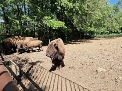 Зоологическа градина Ловеч