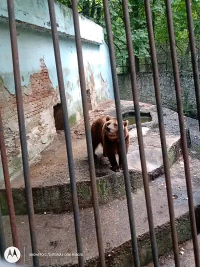 Зоологическа градина Ловеч