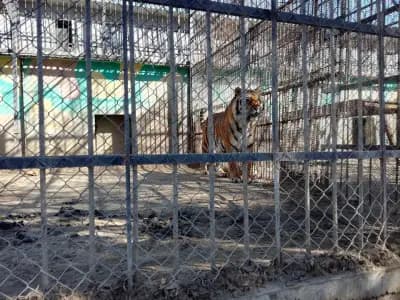 Зоологическа градина Ловеч