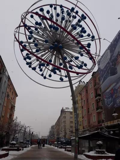 ZLATNA RIBKA Vitosha