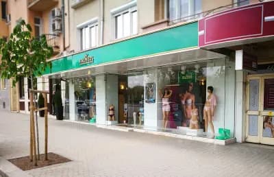 МАГАЗИН PALMERS