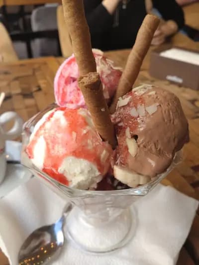 FREDDO Gelato e Ristoranti
