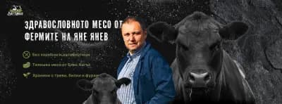 EPIX.bg | Web Dev & Digital Marketing Agency | Shopify Experts Bulgaria | Kaspersky MSP Partner
