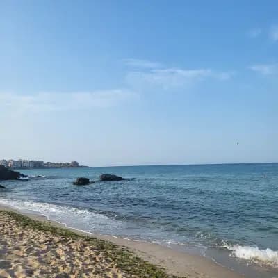 Bamboo Beach food & music