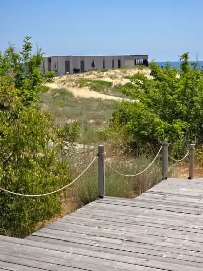 Noir Green Life Beach