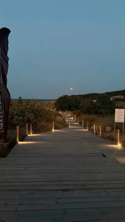 Noir Green Life Beach