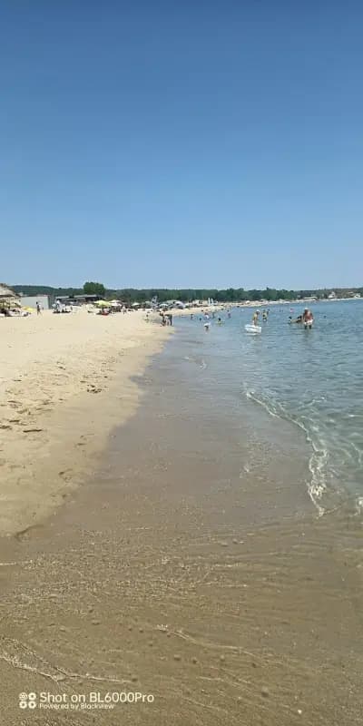 Ресто Дел верано