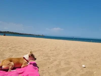 Kite&Surf Park