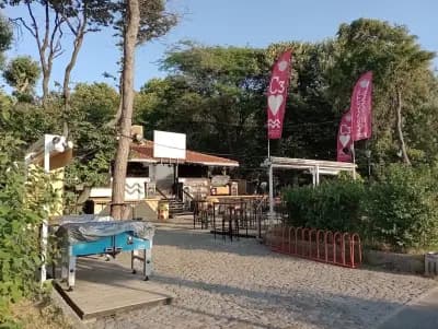Малката текила