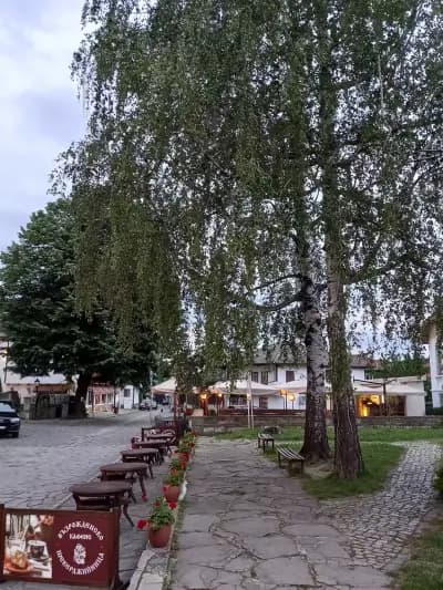 Възрожденско кафене