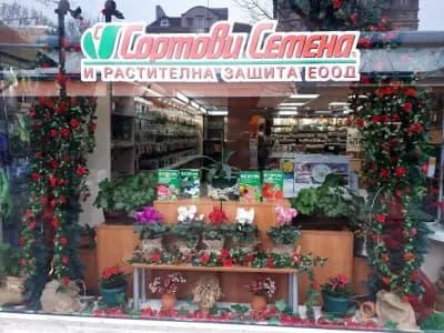 Сортови семена и растителна защита ЕООД