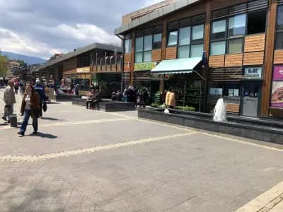 Сортови семена България