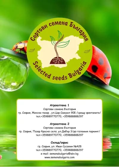 СОРТОВИ СЕМЕНА БЪЛГАРИЯ-СОФИЯ