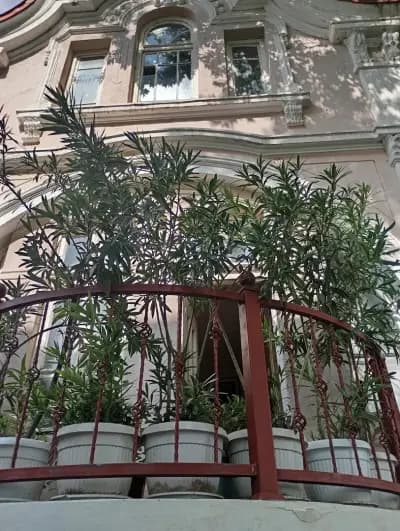 Ресторант "Меркурий"