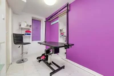 RoSSy's Art Grooming - Професионален зоофризьор