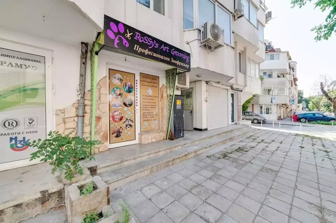 RoSSy's Art Grooming - Професионален зоофризьор