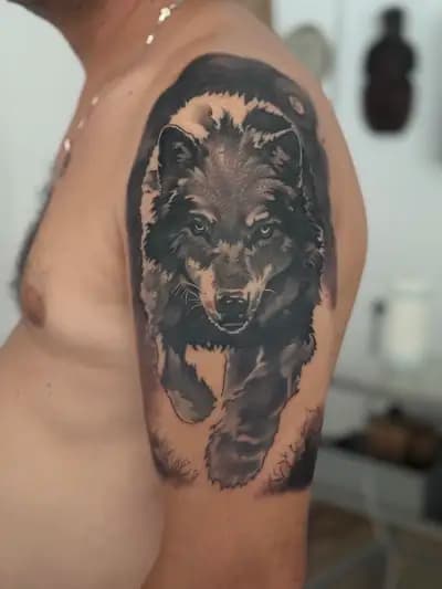 Казака Инк