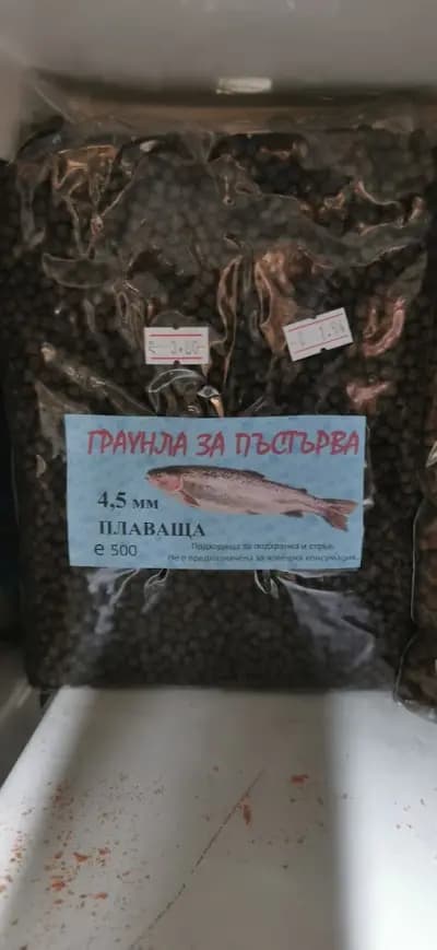 Рибарски магазин „От тъмно до тъмно“