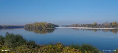 Наслука