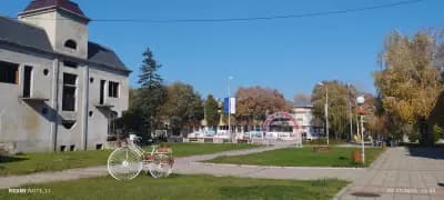 Наслука