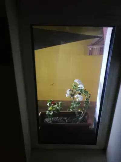 Хотел Триумф