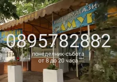 Рибен магазин,, Амур"