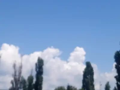 Морски Дар 09