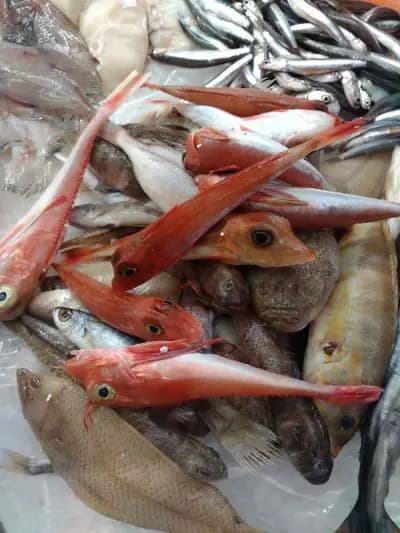 Fish market