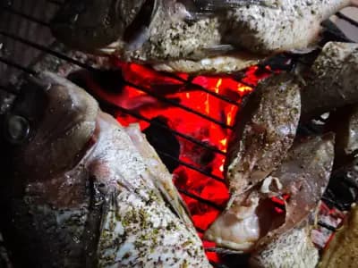 Fish market