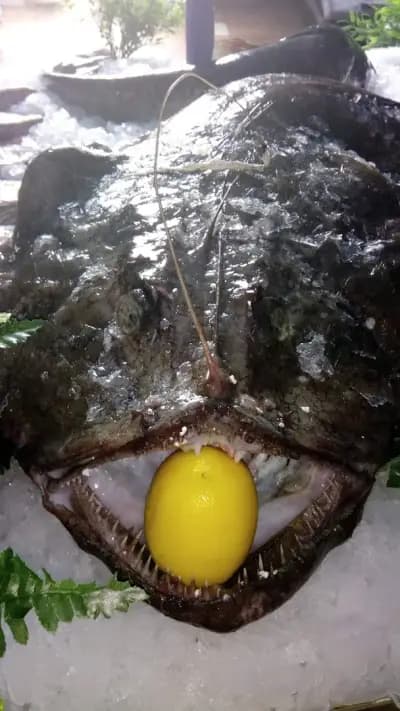 Fish market