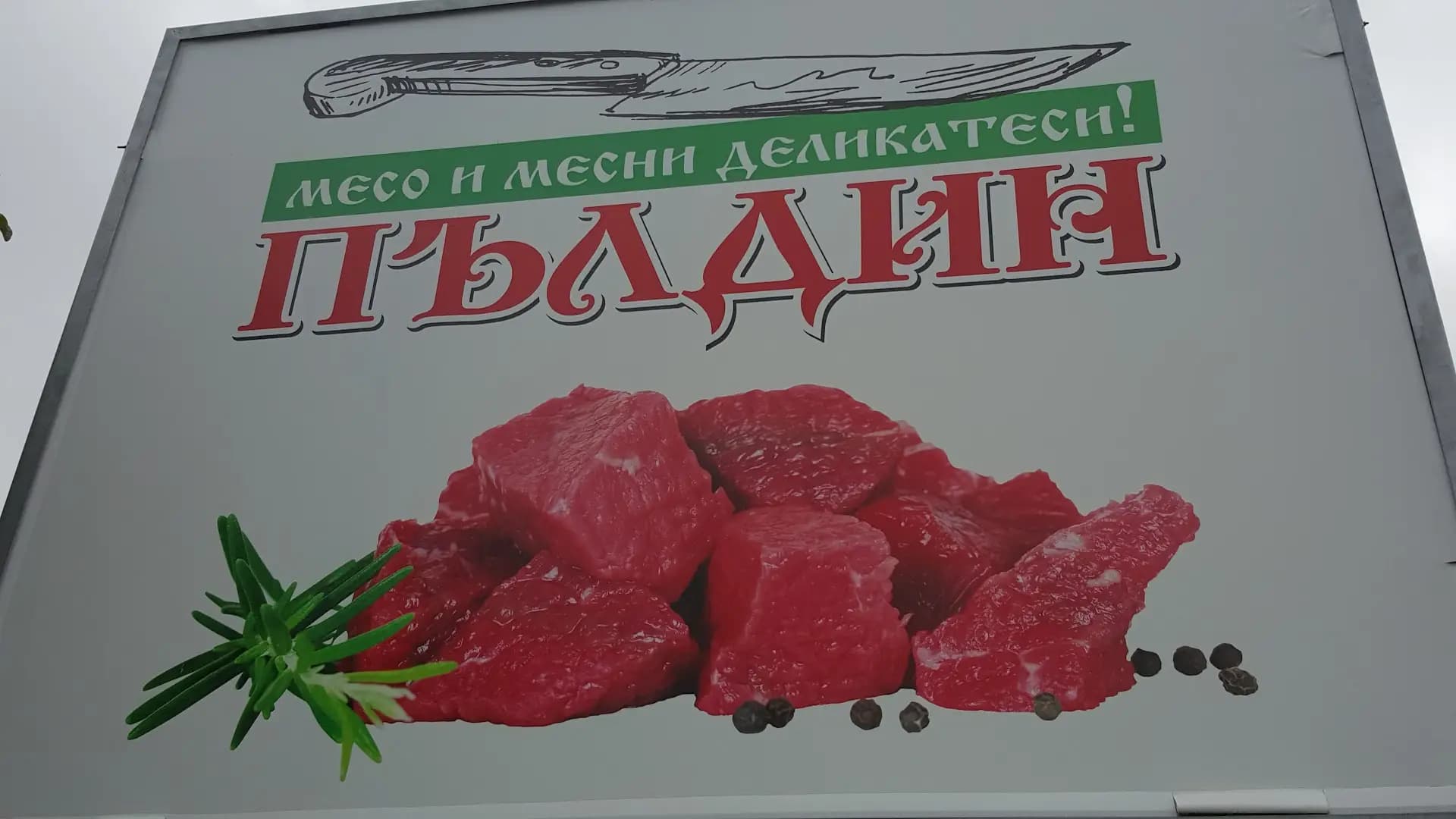 ТРАНЖОРНА ПЪЛДИН