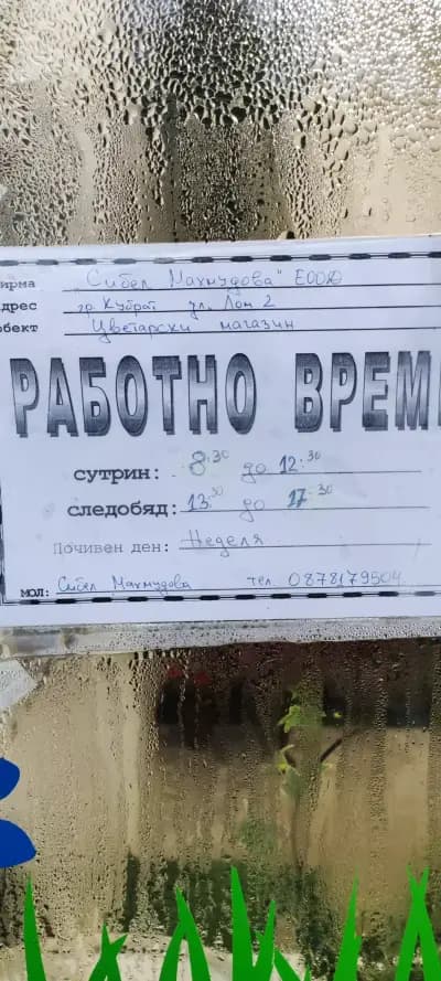 Цветарски Магазин "СИБЕЛ"