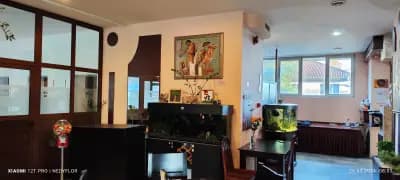 Momo's Kitchen